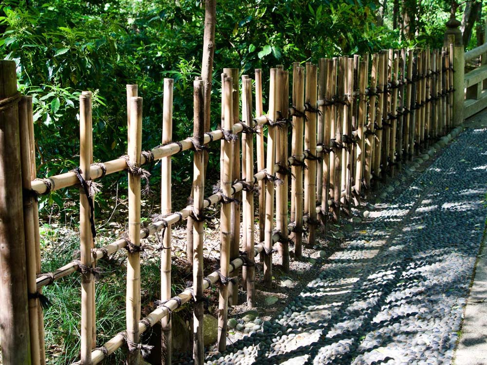 Bamboo Fencing