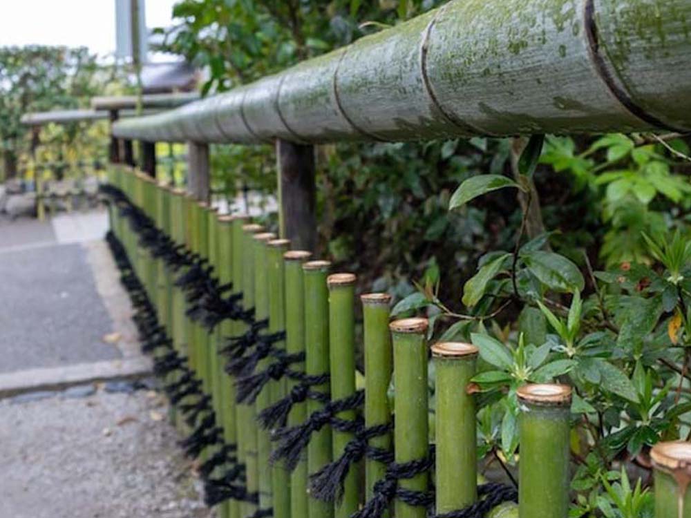 Bamboo Railing
